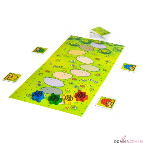 Черепашьи бега